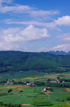 乡村 绿色乡村