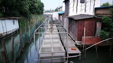 太湖蟹养殖基地