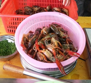 美食油焖龙虾生料