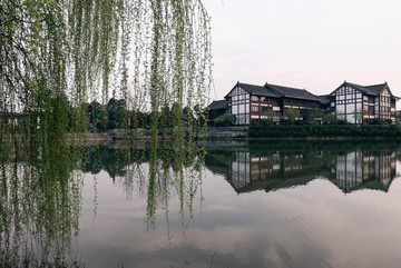 垂柳池塘新村