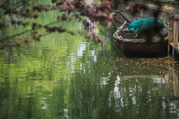 江南水乡