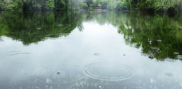 春意成诗谷雨天