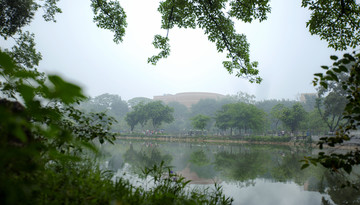 春意成诗谷雨天