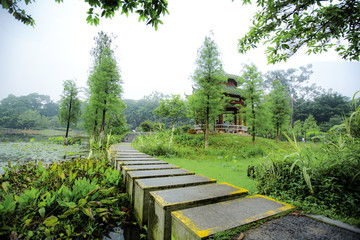 春意成诗谷雨天