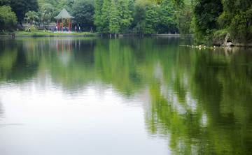 春意成诗谷雨天