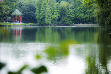 春意成诗谷雨天