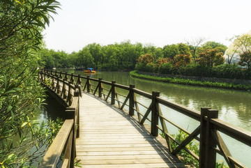 湿地 木桥