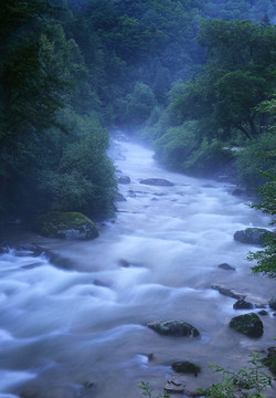 小河流水雾 84862