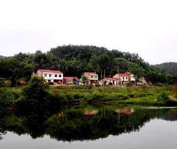 农村池塘边的房屋