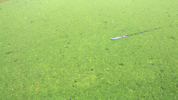 水口库区樟湖镇