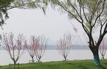 东湖绿道风景