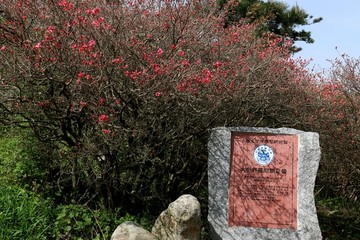 龟峰山风景