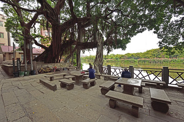 小洲村 登瀛码头