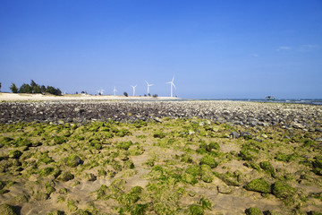 风力发电机海边风车