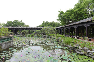 莲花池