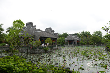 莲花池