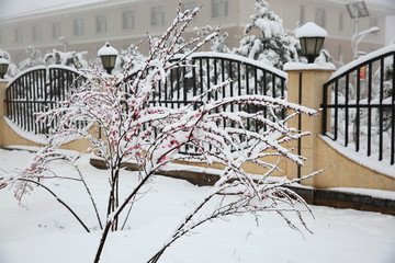 积雪