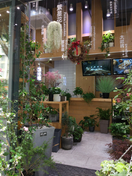 植物店铺