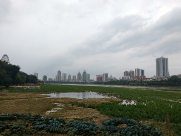 湖畔风景 广西南宁南湖公园