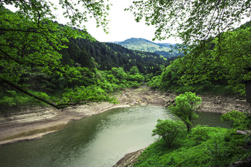 青山绿水