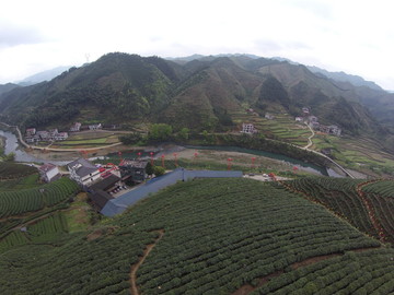 邵阳洞口古楼茶山2015年