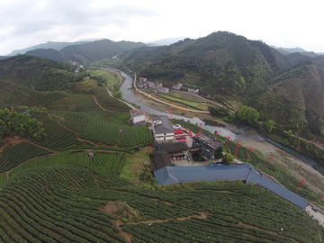 邵阳洞口古楼茶山2015年