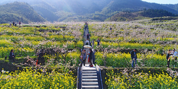 城步赏花 城步美景