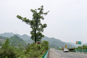 高速 安徽高速 高速公路 公路