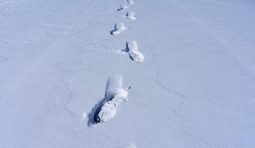 脚印 雪中脚印 雪地足印