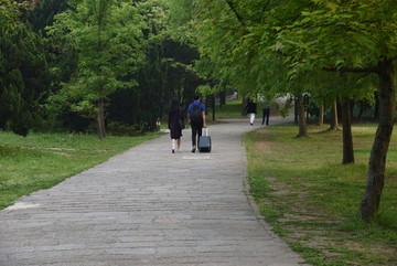 公园散步的情侣