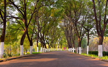 河边小路