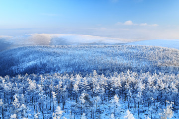 林海雪原 山林雾凇