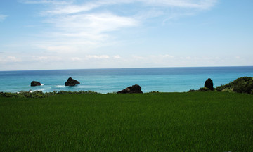 台湾花东海岸线风景