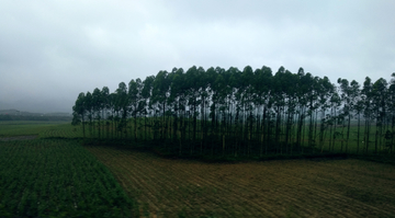 乡村阴雨天风景 非高清