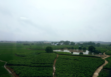 雨中乡村风景 非高清