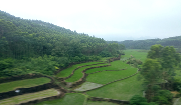 乡村田园风景 非高清