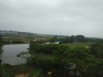 乡村树林风景 非高清