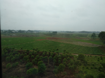 雨中乡村风景 非高清