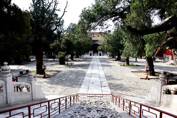 孔庙 北京风光 庭院