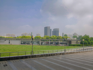 城市绿化  上海南站南广场