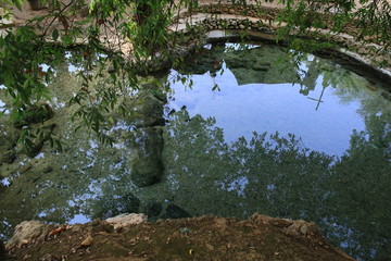 大榕树 温泉 德宏 芒市风光