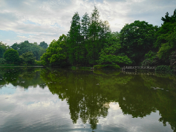 湖面