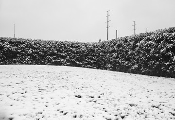 雪景