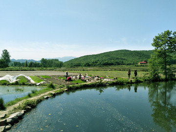 山下农田