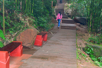 赤水燕子岩 石梯 竹林小路