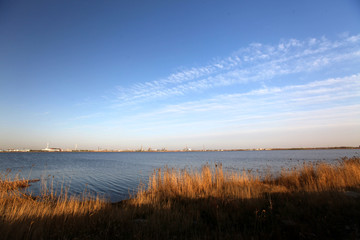 大庆 湿地 油田 百湖 自然