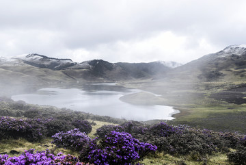 高原湖