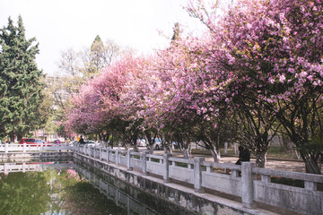 昆明理工大学