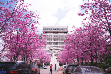 昆明理工大学