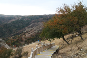 山林栈道